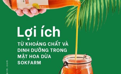 Lợi ích khi dùng mật hoa dừa Sokfarm