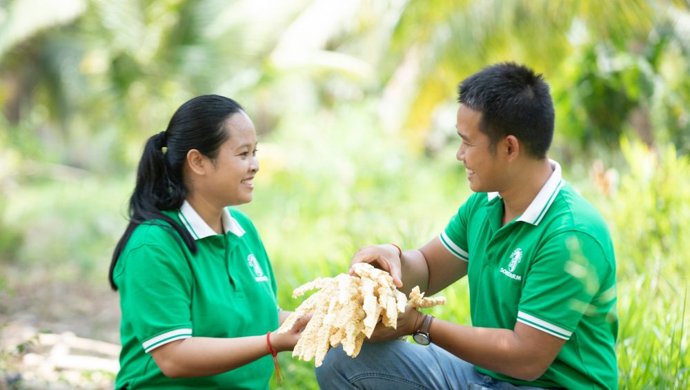 vo-chong-khoi-nghiep-sokfarm