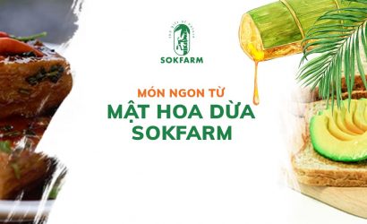 mat-hoa-dua-sokfarm, vao-bep-cung-sokfarm, duong-hoa-dua-sokfarm, mon-ngon-cung-mat-hoa-dua