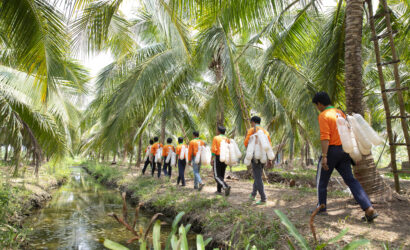 mat-hoa-dua-sokfarm, plant-based, mat-hoa-dua-thuan-thuc-vat, mat-hoa-dua-la-gi, mat-hoa-dua-chi-so-duong-huyet-thap, GI-thap