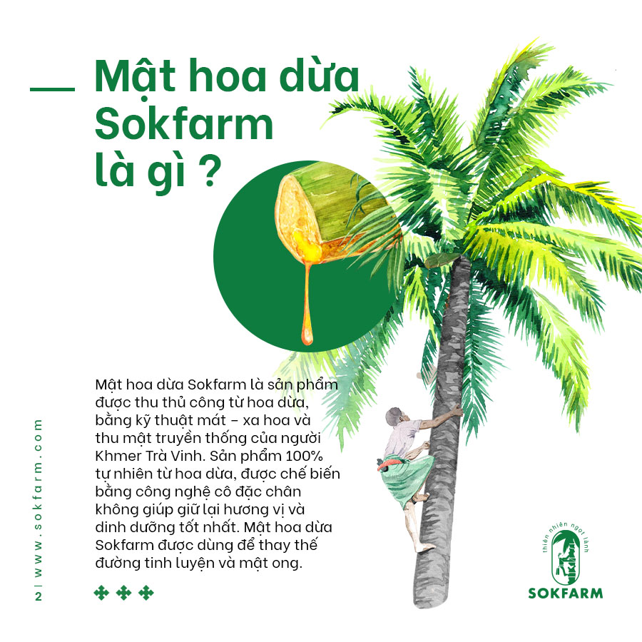 mat-hoa-dua-sokfarm, plant-based, mat-hoa-dua-thuan-thuc-vat, mat-hoa-dua-la-gi, mat-hoa-dua-chi-so-duong-huyet-thap, GI-thap