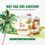 mat-hoa-dua-sokfarm, plant-based, mat-hoa-dua-thuan-thuc-vat, mat-hoa-dua-la-gi, mat-hoa-dua-chi-so-duong-huyet-thap, GI-thap