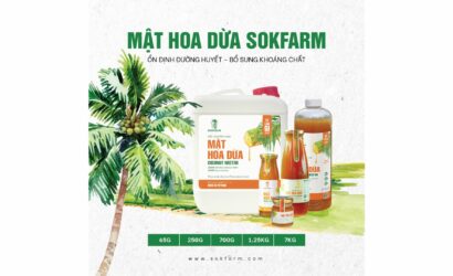 mat-hoa-dua-sokfarm, plant-based, mat-hoa-dua-thuan-thuc-vat, mat-hoa-dua-la-gi, mat-hoa-dua-chi-so-duong-huyet-thap, GI-thap