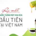 nuoc-tuong-mat-hoa-dua, nuoc-tuong-mat-hoa-dua-la-gi, nuoc-tuong-khong-dau-nanh, nuoc-tuong-khong-GMO, nuoc-tuong-mat-hoa-dua-sokfarm, mat-hoa-dua-sokfarm