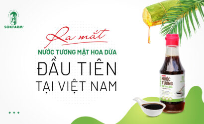 nuoc-tuong-mat-hoa-dua, nuoc-tuong-mat-hoa-dua-la-gi, nuoc-tuong-khong-dau-nanh, nuoc-tuong-khong-GMO, nuoc-tuong-mat-hoa-dua-sokfarm, mat-hoa-dua-sokfarm